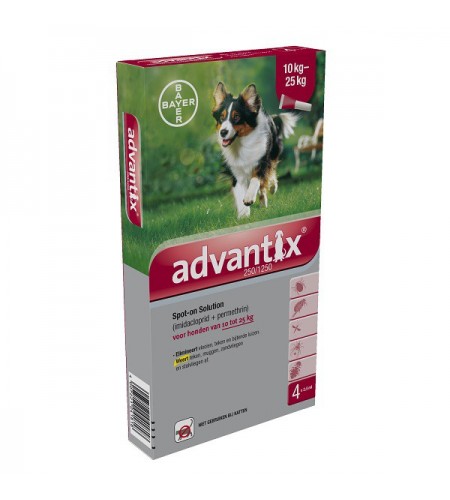 ADVANTIX 250 (10-25KG, 4 PIPETAS)
